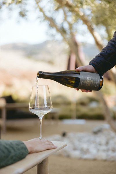 2022 Peake Ranch Vineyard Chardonnay 1